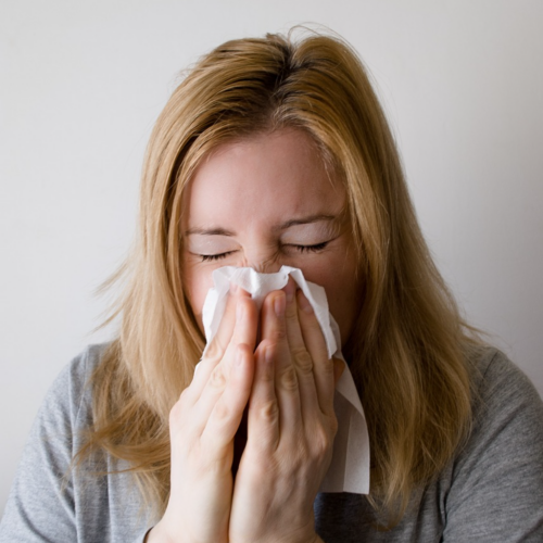 The Real Culprit Behind Your Seasonal Sneezing